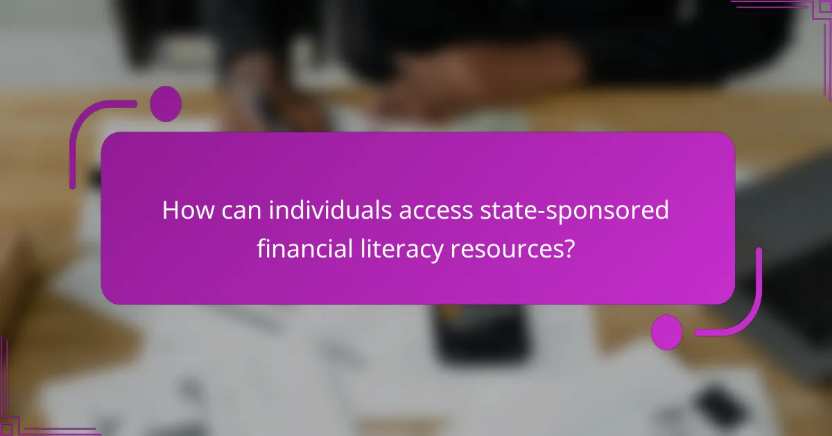 How can individuals access state-sponsored financial literacy resources?