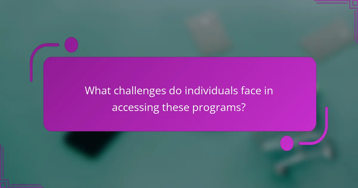 What challenges do individuals face in accessing these programs?