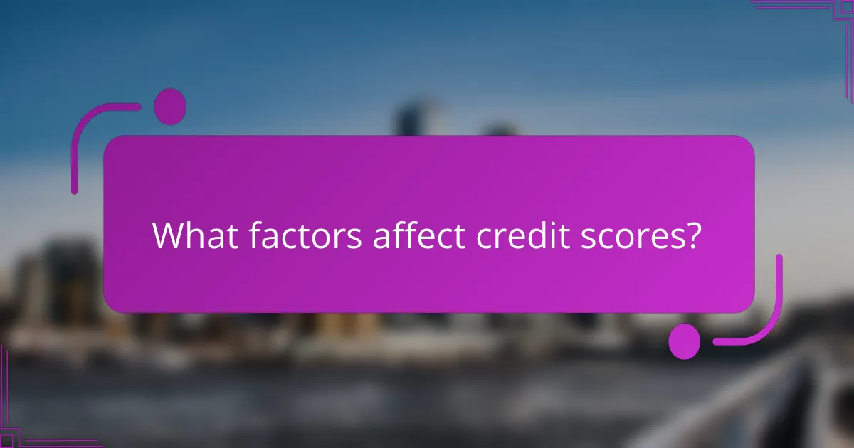 What factors affect credit scores?
